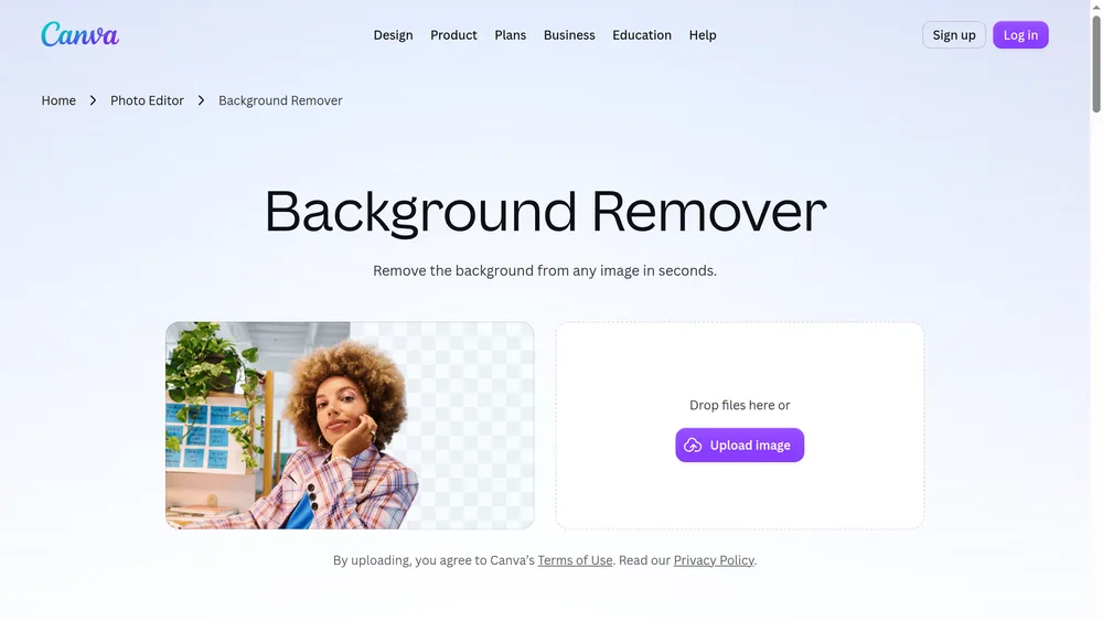 Preview of Canva Background Remover